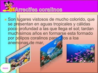  Son lugares vistosos de mucho colorido, que 
se presentan en aguas tropicales y cálidas 
poco profundad a las que llega el sol; tardan 
muchísimos años en formarse esta formado 
por pólipos coralinos parecidos a loa 
anemonas de mar, 
menú 
 