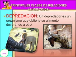 DEPREDACION: Un depredador es un 
organismo que obtiene su alimento 
devorando a otro. 
menú 
 