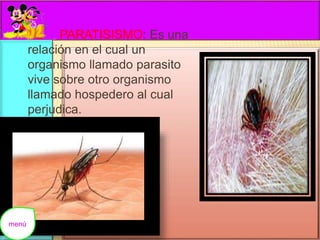 EL PARATISISMO: Es una 
relación en el cual un 
organismo llamado parasito 
vive sobre otro organismo 
llamado hospedero al cual 
perjudica. 
menú 
 