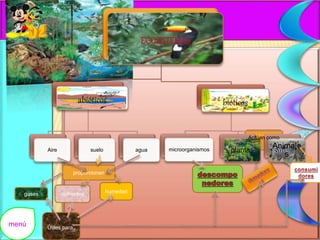ECOSISTEMAS 
abióticos 
Aire suelo agua 
bióticos 
microorganismos plantas 
Animale 
s 
Actúan como 
proporcionan 
gases nutrientes humedad 
menú Útiles para: 
 