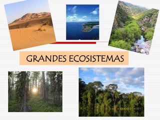 GRANDES ECOSISTEMAS
 