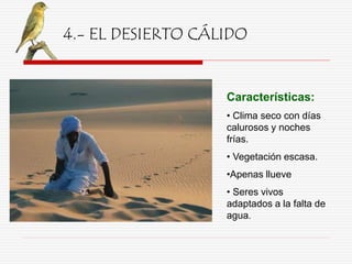 4.- EL DESIERTO CÁLIDO
Características:
• Clima seco con días
calurosos y noches
frías.
• Vegetación escasa.
•Apenas llueve
• Seres vivos
adaptados a la falta de
agua.
 