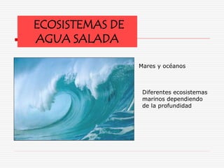ECOSISTEMAS DE
AGUA SALADA
Mares y océanos
Diferentes ecosistemas
marinos dependiendo
de la profundidad
 