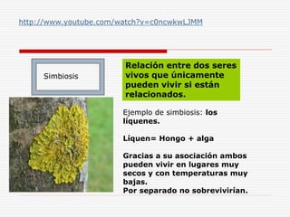 Simbiosis
Relación entre dos seres
vivos que únicamente
pueden vivir si están
relacionados.
Ejemplo de simbiosis: los
líquenes.
Líquen= Hongo + alga
Gracias a su asociación ambos
pueden vivir en lugares muy
secos y con temperaturas muy
bajas.
Por separado no sobrevivirían.
http://www.youtube.com/watch?v=c0ncwkwLJMM
 