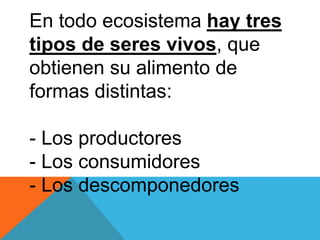 En todo ecosistema hay tres 
tipos de seres vivos, que 
obtienen su alimento de 
formas distintas: 
- Los productores 
- Los consumidores 
- Los descomponedores 
 