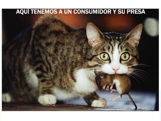 AQUÍ TENEMOS A UN CONSUMIDOR Y SU PRESA 
 