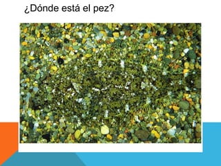 ¿Dónde está el pez? 
 