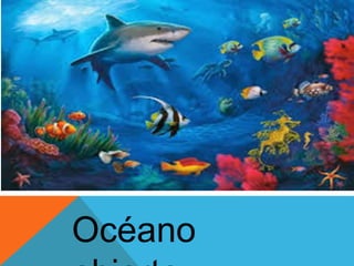 Océano 
abierto 
 