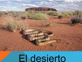 El desierto 
 