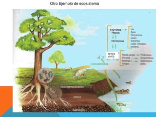 Otro Ejemplo de ecosistema 
SERES 
VIVOS 
 