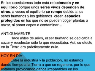 En los ecosistemas todo está relacionado y en 
equilibrio porque unos seres vivos dependen de 
otros, a veces el equilibrio se rompe debido a los 
seres humanos y los gobiernos crean espacios 
protegidos en los que no se pueden coger plantas o 
cazar, ni poner cepos o contaminar… 
ANTIGUAMENTE 
Hace miles de años, el ser humano se dedicaba a 
cazar y recolectar sólo lo que necesitaba. Así, su efecto 
en la Tierra era prácticamente nulo. 
HOY EN DÍA 
Entre la industria y la población, no estamos 
dando tiempo a la Tierra a que se regenere, por lo que 
estamos provocando daños irreparables en los 
 