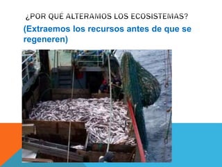 (Extraemos los recursos antes de que se 
regeneren) 
 