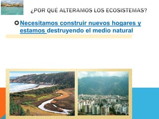 Necesitamos construir nuevos hogares y 
estamos destruyendo el medio natural 
 
