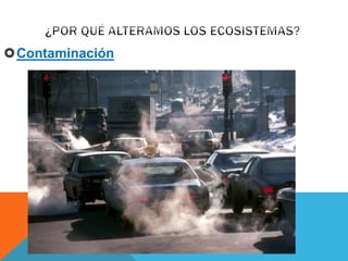 Contaminación 
 