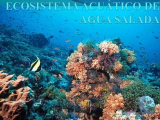 Tipos de Ecosistemas