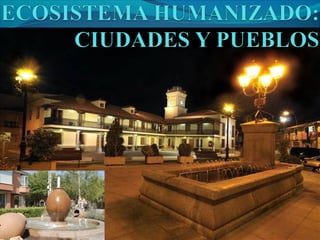 Tipos de Ecosistemas