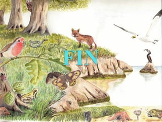 Tipos de Ecosistemas