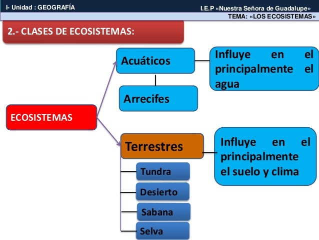 Cuadro Sinoptico De Los Ecosistemas Terrestres Tados | Images and