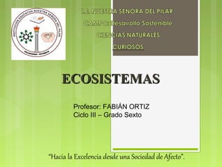 Profesor: FABIÁN ORTIZ
Ciclo III – Grado Sexto
“Hacia la Excelencia desde una Sociedad de Afecto”.
ECOSISTEMASECOSISTEMAS
 