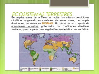ECOSISTEMAS TERRESTRESEn amplias zonas de la Tierra se repiten las mismas condiciones
climáticas originando comunidades de seres vivos, de amplia
distribución, denominadas BIOMAS. Un bioma es un conjunto de
ecosistemas terrestres, gobernados por condiciones climáticas
similares, que comparten una vegetación característica que los define.
 