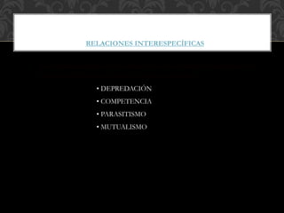FACTORES BIOTICOS
RELACIONES INTERESPECÍFICAS
Son las relaciones que se establecen entre los individuos de diferentes
poblaciones (diferentes especies) de un ecosistema:
• DEPREDACIÓN
• COMPETENCIA
• PARASITISMO
• MUTUALISMO
 