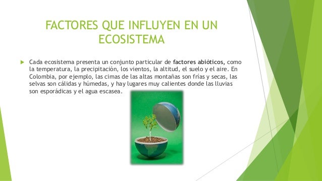Ecosistemas Y Factores Que Influyen