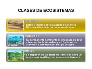 CLASES DE ECOSISTEMAS
 