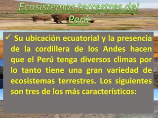  Su ubicación ecuatorial y la presencia
de la cordillera de los Andes hacen
que el Perú tenga diversos climas por
lo tanto tiene una gran variedad de
ecosistemas terrestres. Los siguientes
son tres de los más característicos:
 