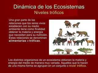Dinámica de los EcosistemasDinámica de los Ecosistemas
Niveles tróficosNiveles tróficos
Una gran parte de lasUna gran parte de las
relaciones que los seres vivosrelaciones que los seres vivos
establecen con su medioestablecen con su medio
ambiente tiene como finalidadambiente tiene como finalidad
obtener la materia y energíaobtener la materia y energía
que necesitan para su nutrición.que necesitan para su nutrición.
Estas relaciones se denominanEstas relaciones se denominan
alimentariasalimentarias oo tróficastróficas ..
Los distintos organismos de un ecosistema obtienen la materia yLos distintos organismos de un ecosistema obtienen la materia y
energía del medio de manera muy variada. Aquellos que lo hacenenergía del medio de manera muy variada. Aquellos que lo hacen
de una misma forma se agrupan en un conjunto ode una misma forma se agrupan en un conjunto o nivel tróficonivel trófico ..
 