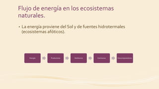 Flujo de energía en los ecosistemas
naturales.
• La energía proviene del Sol y de fuentes hidrotermales
(ecosistemas afóticos).
Energía Productores Herbívoros Carnívoros. Descomponedores.
 