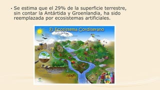 • Se estima que el 29% de la superficie terrestre,
sin contar la Antártida y Groenlandia, ha sido
reemplazada por ecosistemas artificiales.
 