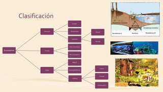 Clasificación
Ecosistemas
Ubicación
Acuático
Aeroterrestre
Transición
Natural
Inducido
Tamaño
Macro Ecosistema
Micro Ecosistema
Origen
Natural
Humano/Modificado
Artificial
Cultivo
Vivienda
Comunicación
 