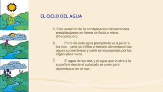 EL CICLO DEL AGUA
5. Este aumento de la condensación desencadena
precipitaciones en forma de lluvia o nieve.
(Precipitación).
6. Parte de esta agua precipitada va a parar a
los ríos , parte se infiltra al terreno alimentando las
aguas subterráneas y parte es incorporada por los
organismos vivos.
7. El agua de los ríos y el agua que vuelve a la
superficie desde el subsuelo se unen para
desembocar en el mar.
 