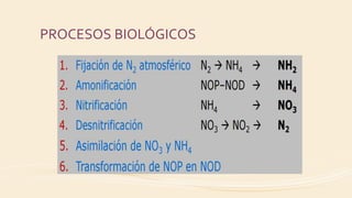PROCESOS BIOLÓGICOS
 