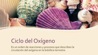 Ciclo del Oxígeno
Es un orden de reacciones y procesos que describen la
circulación del oxígeno en la biósfera terrestre.
 