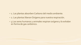 • 1. Las plantas absorben Carbono del medio ambiente.
• 2. Las plantas liberan Oxígeno para nuestra respiración.
• 3.Los seres humanos y animales respiran oxígeno y lo exhalan
en forma de gas carbónico.
 