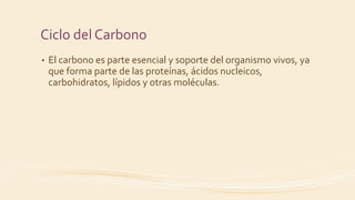 Ciclo del Carbono
• El carbono es parte esencial y soporte del organismo vivos, ya
que forma parte de las proteínas, ácidos nucleicos,
carbohidratos, lípidos y otras moléculas.
 