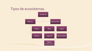 Tipos de ecosistemas.
Acuáticos
Marino.
Fótico.
Afótico.
Agua Dulce.
Rios Lagos
Lagunas Manantiales.
Aguas
subterraneas.
 