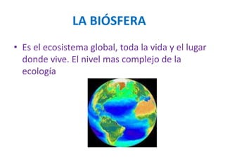 LA BIÓSFERA
• Es el ecosistema global, toda la vida y el lugar
donde vive. El nivel mas complejo de la
ecología
 