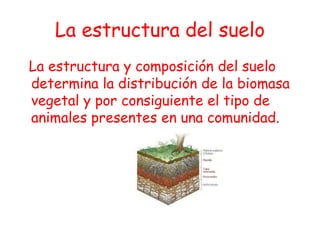 La estructura del suelo
La estructura y composición del suelo
determina la distribución de la biomasa
vegetal y por consiguiente el tipo de
animales presentes en una comunidad.
 