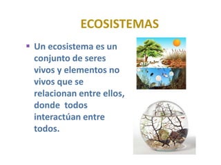ECOSISTEMAS
 Un ecosistema es un
conjunto de seres
vivos y elementos no
vivos que se
relacionan entre ellos,
donde todos
interactúan entre
todos.
 