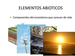 ELEMENTOS ABIOTICOS
• Componentes del ecosistema que carecen de vida
SUELO
AIRE
AGUA, HUMEDAD
Temperatura y luz
 