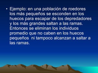 Ejemplo: en una población de roedores los más pequeños se esconden en los huecos para escapar de los depredadores y los más grandes saltan a las ramas. Entonces se eliminan los individuos promedio que no caben en los huecos pequeños  ni tampoco alcanzan a saltar a las ramas. 