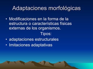Adaptaciones morfológicas Modificaciones en la forma de la estructura o características físicas externas de los organismos. Tipos:  adaptaciones estructurales Imitaciones adaptativas 