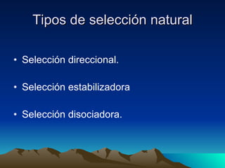 Tipos de selección natural Selección direccional. Selección estabilizadora Selección disociadora. 