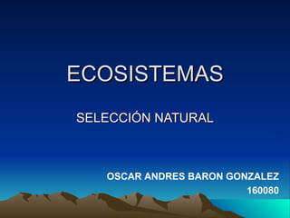 ECOSISTEMAS SELECCIÓN NATURAL OSCAR ANDRES BARON GONZALEZ 160080 