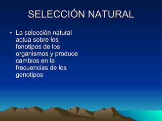 SELECCIÓN NATURAL ,[object Object]