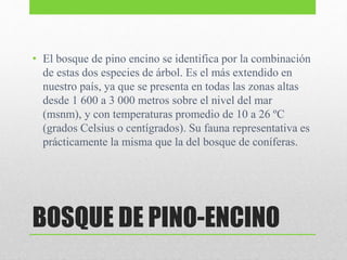 BOSQUE DE PINO-ENCINO
• El bosque de pino encino se identifica por la combinación
de estas dos especies de árbol. Es el más extendido en
nuestro país, ya que se presenta en todas las zonas altas
desde 1 600 a 3 000 metros sobre el nivel del mar
(msnm), y con temperaturas promedio de 10 a 26 ºC
(grados Celsius o centígrados). Su fauna representativa es
prácticamente la misma que la del bosque de coníferas.
 