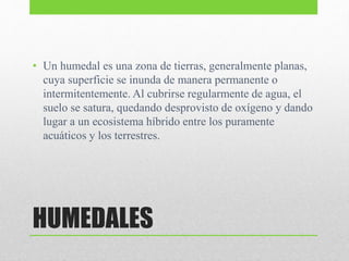 HUMEDALES
• Un humedal es una zona de tierras, generalmente planas,
cuya superficie se inunda de manera permanente o
intermitentemente. Al cubrirse regularmente de agua, el
suelo se satura, quedando desprovisto de oxígeno y dando
lugar a un ecosistema híbrido entre los puramente
acuáticos y los terrestres.
 