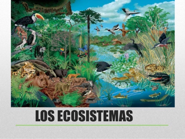 Los ecosistemas de México